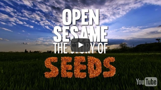 youtube-the-story-of-seeds